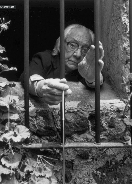 Manuel Alvarez Bravo: EL REFERENTE DE LA FOTOGRAFÍA