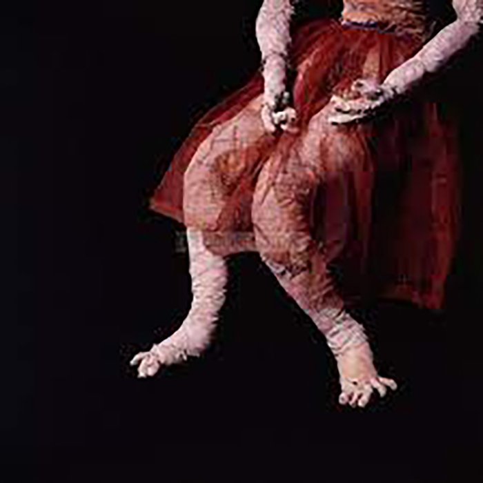 Foto 14
