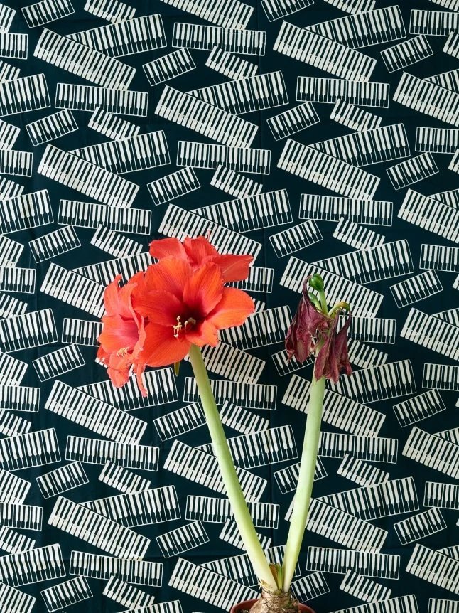 Foto 8