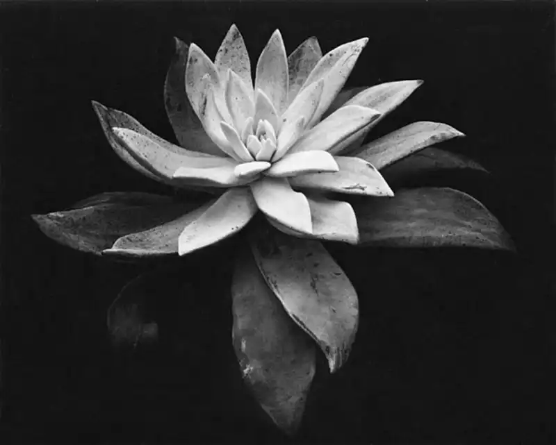 Foto 16