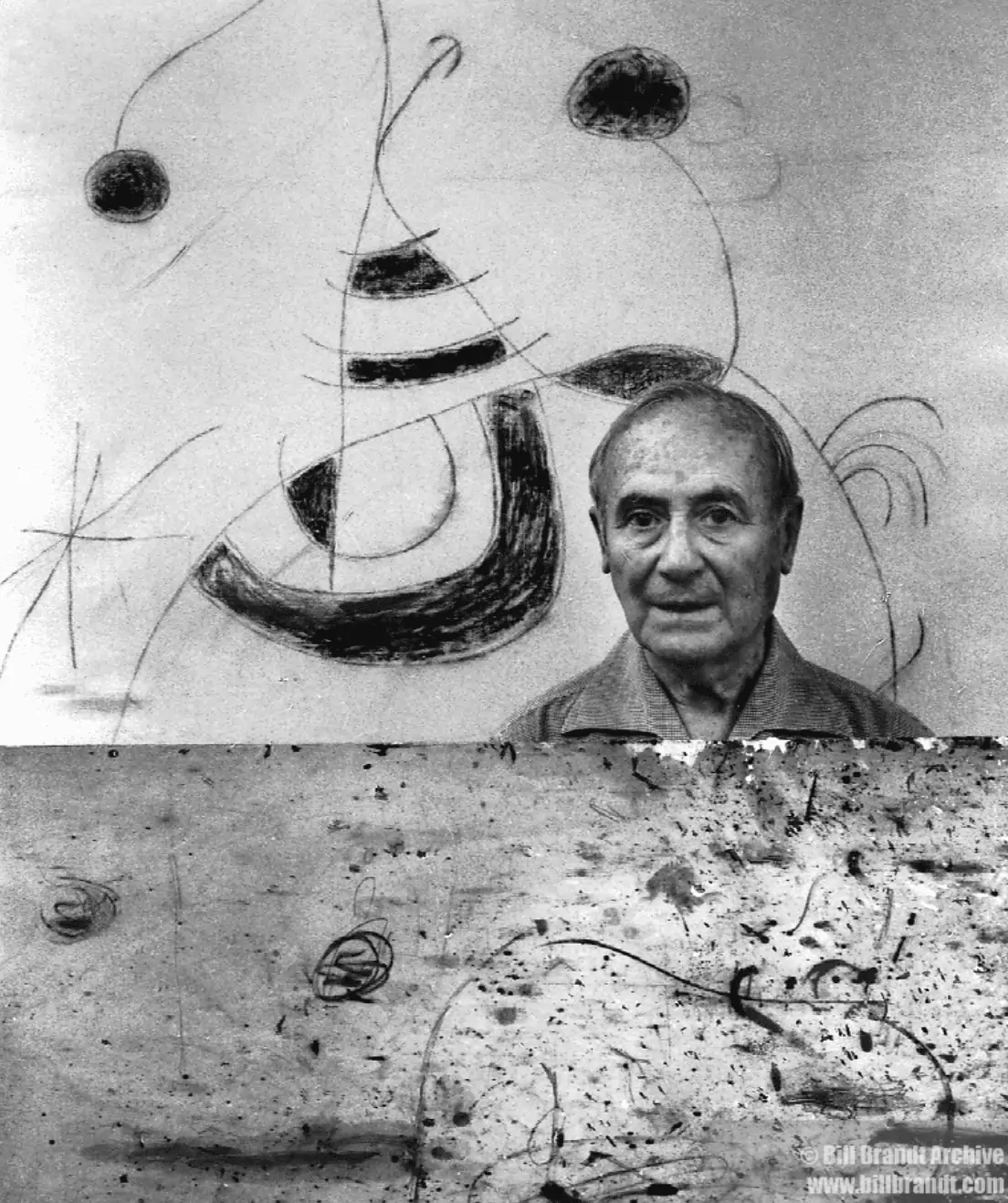 retrato-miro-brandt
