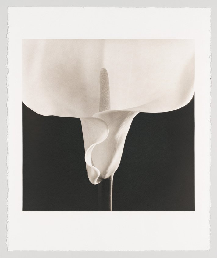 97_103_4_cropped