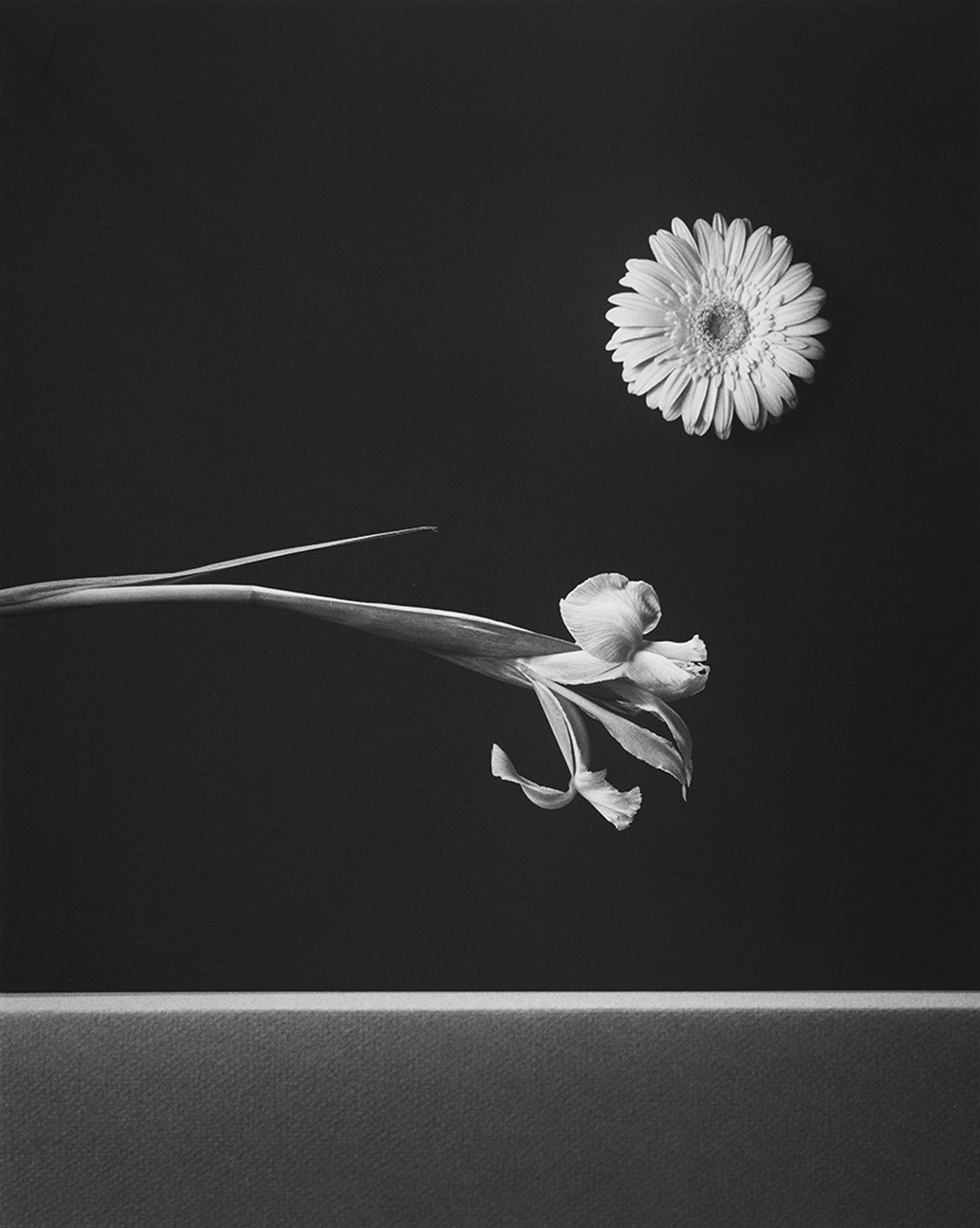 metalocus_mapplethorpe-mapr_01