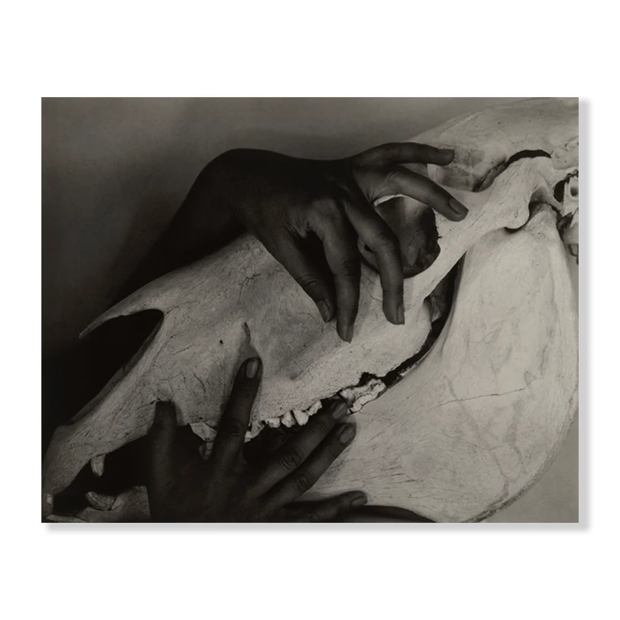 Alfred_Stieglitz_Georgia_O_Keeffe_-_Hands_and_Horse_Skull_1931_-_Jasper_Jute-6114672.png