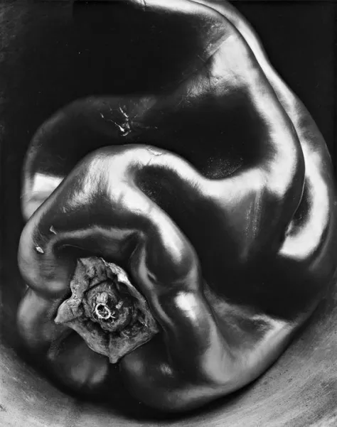 pimiento_pepper_35_edward_weston.jpg