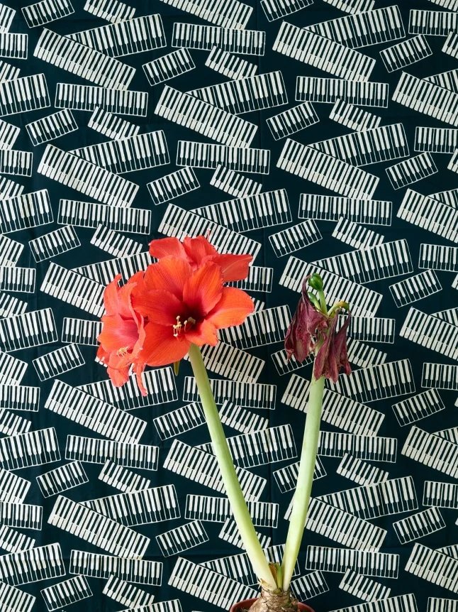 Annette-Kelm-Piano-lesson-2018.jpeg copia