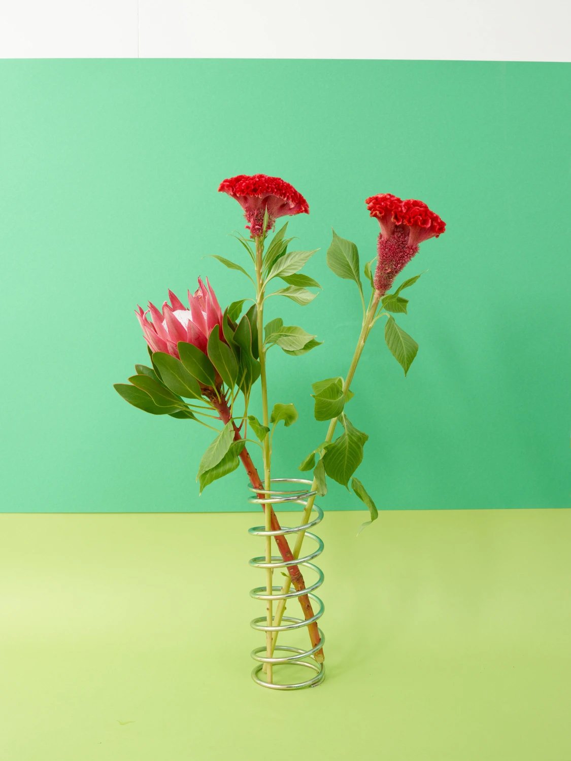 c4a4c753b3adb1f44df273327a0838edj copia