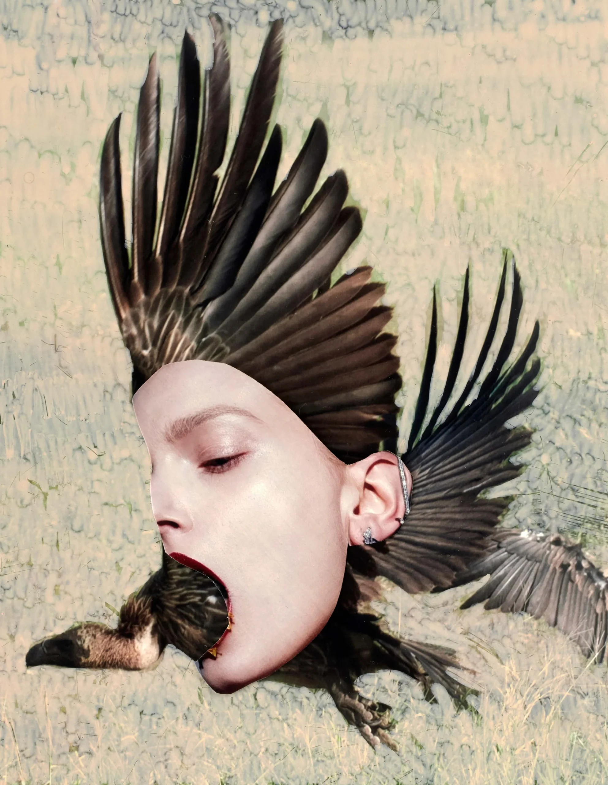 ©+Viviane+Sassen,+Sirin,+from+the+series+Modern+Alchemy,+2022.jpg